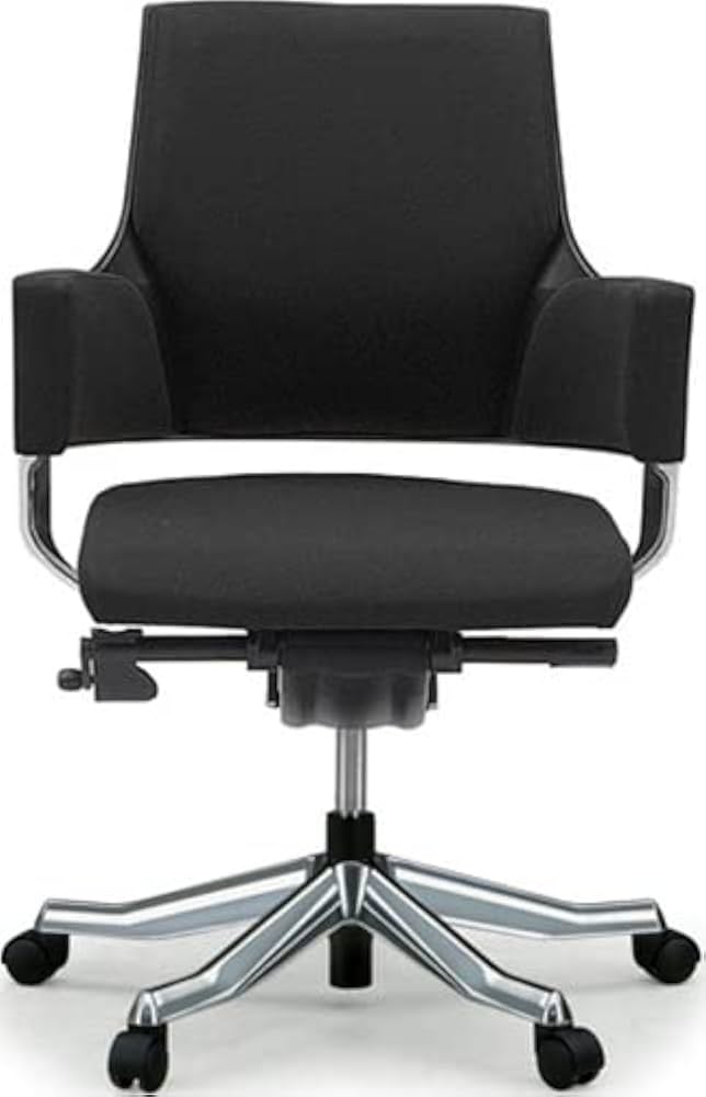 新品MERRYFAIR メリーフェア DELPHI デルフィ 黒 オフィスチェア 送料無料】 MERRYFAIR DELPHI 2/メリーフェアー デルフィ 高機能