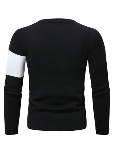 WDIRARA Men's Color Block Crewneck Sweater Long Sleeve Knitted Casual Pullover Tops2