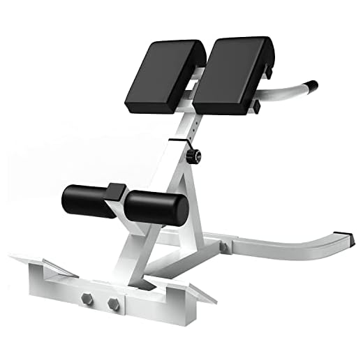 Loupusuo Roman Chair,Back Extension Bench,Multi Functional Ab Bench, Hyperextension Bench Abdominal Exercise, Waist Extension Workout, Buttocks Machine, Leg Strength Trainer Home Men Women Full Body