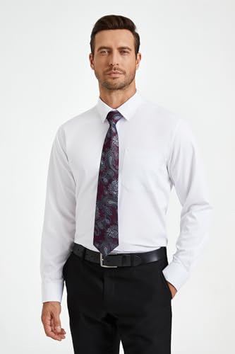 HISDERN Paisley Tie Handkerchief Woven Classic Men's Necktie & Pocket Square Set