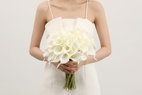 La Mejor Lista de Lirio Persa los más recomendados. 27 Imagen adicional