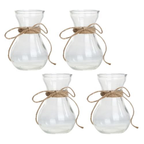 Vase en verre transparent fleurs hydroponiques décoration bureau