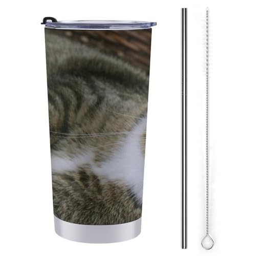 L   XeX}OJbv X^CbV 600ml ۗ ۉ Wt ^u[ L d\ 킢 ڂȂRbv sԗp