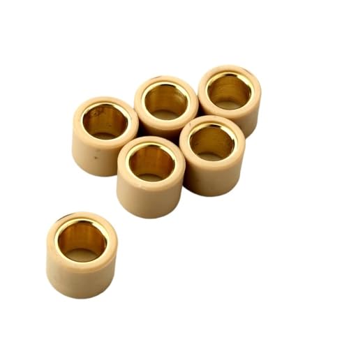 Galets de variateur 6 pièces 20x17mm 12,5g pour scooter 1999-2003