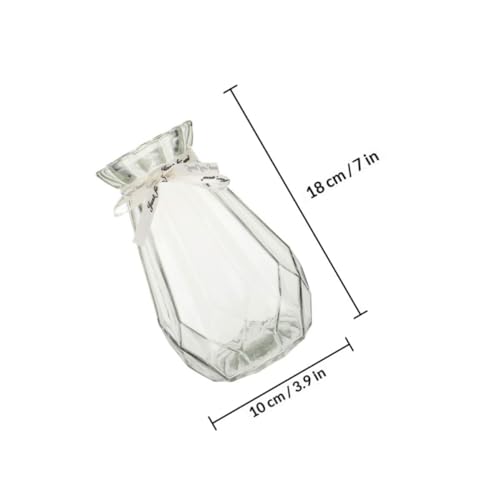 Jarrón de cristal transparente minimalista para flores y cultivo hidropónico 3