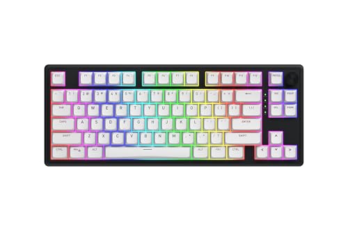 HATOR Skyfall 80 Wireless Clavier Gaming mécanique sans Fil, 80%, Mechanical Switches, Hot-Swap, RGB, PBT, N-Key Rollover, 1000Hz, 2.4GHz/Bluetooth/USB-C, PC/Mac, US/ANSI Layout (QWERTY), Noir/Blanc