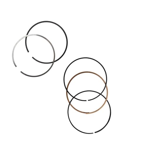Segments de piston 76mm résoud compression faible CBR1000