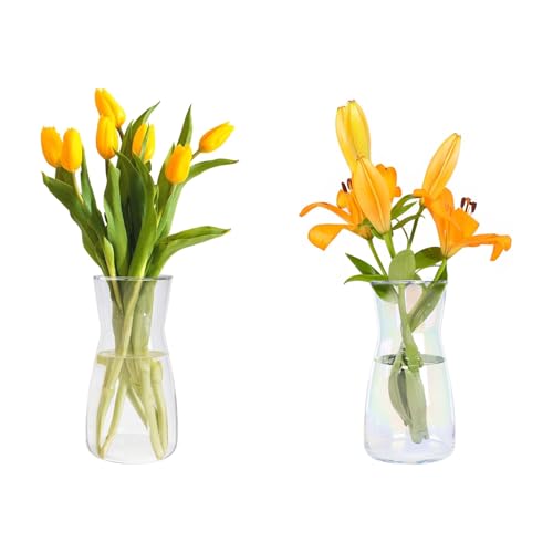 Der Rose Bundle of 1 Pack Clear Glass Vase and 1 Pack Iridescent Glass Vase for Centerpieces Bouquets and Flowers