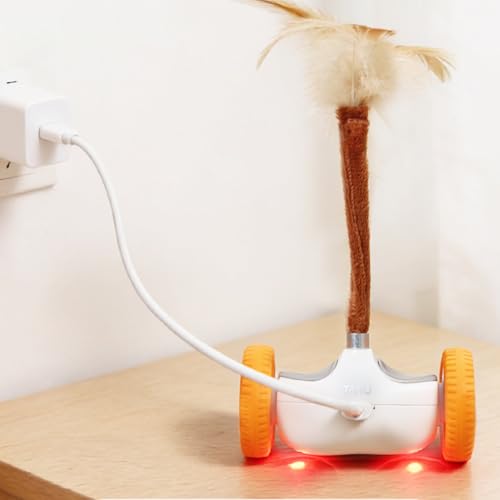 Plush Toys Generico jeu autonome enrichissement stimulation exercice chatons mouvement automatique