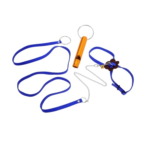 Happyyami Pet Tortoise Hauling Leash Tortoise Walking Leash Easy Use Harness Random Color