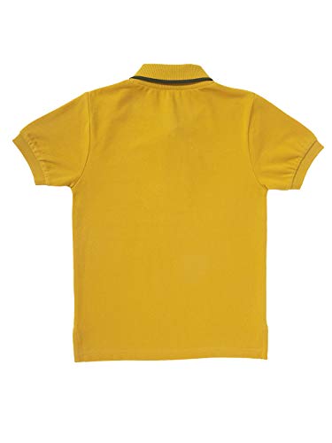 Image of Cub McPaws Pack of 2 Polo Tshirt
