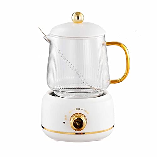 Tetera eléctrica de vidrio 600 ml con infusor miniatura 1