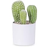 HONHDONZJP Artificial Cactus Faux Cactus Fake Succulent Potted Plant 7.1Inch for Desk Home Office De