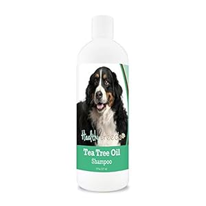 Healthy Breeds Bernese Mountain Dog Tea Tree Oil Shampoo – Formulated for Dry, Irritated Skin – Reduce Dandruff – Wintergreen Scent – 8 oz