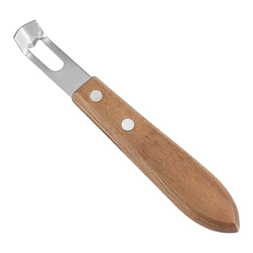 Honhoha Food Storer Handheld, Shaver de trufa | Manual de chocolate Manual de champiñones Herramientas de queso de champiñones - Herramientas y gadgets de especialidad, suministros de cocina de mano
