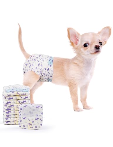 MICOOYO Pañales desechables para perras, pañales para perras, pañales súper absorbentes para mascotas, pañales de espuma para perros hembras para calor, pañales cómodos para cachorros (50 unidades,