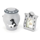 Urna de cremación para cenizas con marco de fotos