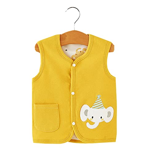 Toddler Boys Girls Puffer Vest Winter Warm Lightweight Toddler Vest Outerwear High Neck Cute Sleeveless2