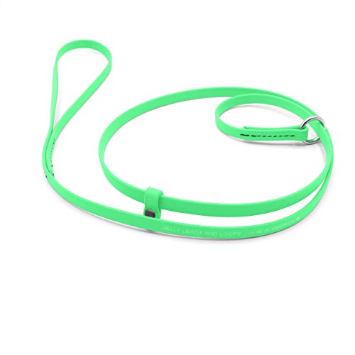 Jelly Pet Grooming Lead for Dogs | Great for Kennels, Veterinarians and Dog Grooming Salons...