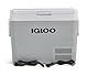 IGLOO ICF 40 Kompressor-Kühlbox 39 Liter, 12/24 V und 230 V, Mini-Kühlschrank -18 °C bis 20 °C für Auto, LKW, Boot, Wohnmobil und Steckdose