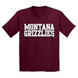 UGP Campus Apparel YS1001 - Montana Grizzlies Basic Block - Sports Team Youth T-Shirt - Large - Maroon