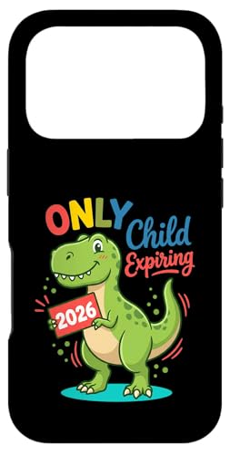 �r�b�O�u���U�[�ɏ��i ����2026�N�x�r�[���\ �X�}�z�P�[�X iPhone 17 Pro �p