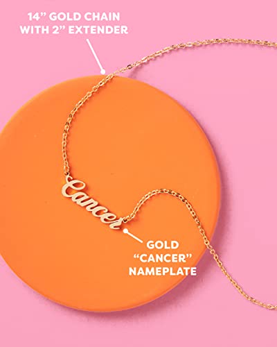 xo, Fetti Zodiac Cancer Necklace, 14" Choker, Gold Nameplate Script Font Jewelry3