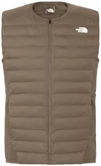 The North Face Red Run Vest, Taupe, M : Amazon.sg: Fashion