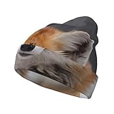 JaoXer