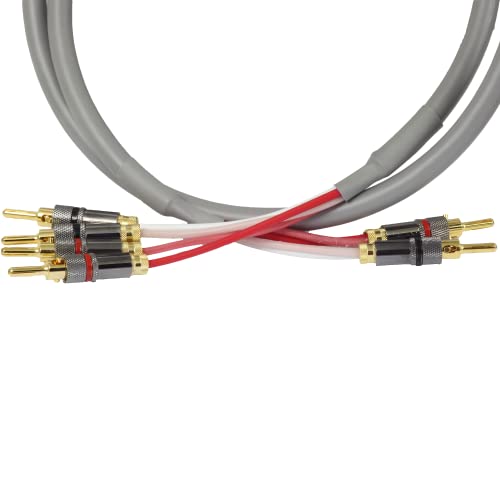 Find The Best Bi Wire Speaker Cables Reviews & Comparison Katynel