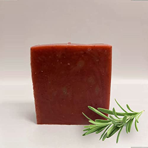 Glo + Handmade Soap Bars - Family Pack Of 4 Soap Bars With Exotic Flavors (Lump Charcoal + Damask Rose + French Lavender + Aloe Vera). Made With Organic Oils And Naturally Scented Handmade Soap Bars #TOP6