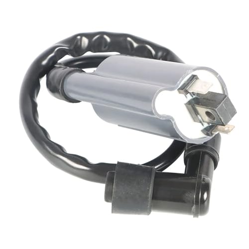 Bobine d'allumage haute résistance pour moteurs à essence John Deere F911 et 455