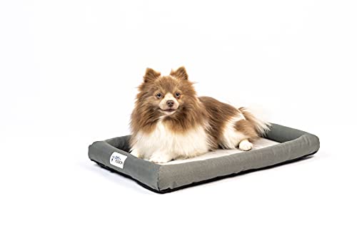 PetFusion Kühlendes Hundebett, orthopädischer Memory-Schaum, Anti-Angst-Matte, alle Temperaturkontrolle, beruhigendes und beruhigendes Welpenbett, Größe XS (53 x 30 cm)