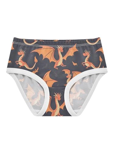 ZZKKO Cartoon Flying Dinosaur Girls Underwear Toddler Panties for Girls Comfort Brief Size 2-8T