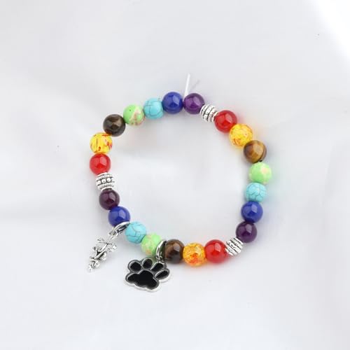 Image of WSNANG Veterinarian Gift Charm Bracelet Veterinary Technician & Student Graduation Gift