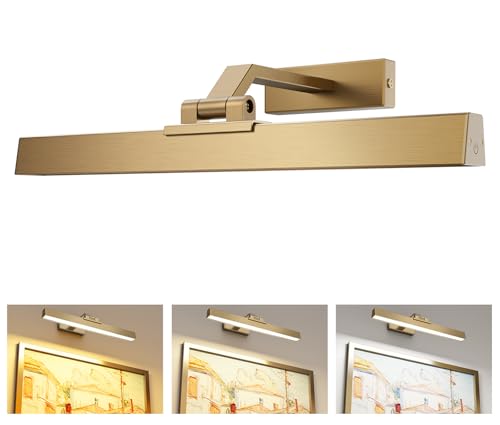 Afyuol Picture Lights for Wall, Brass Battery Operated Picture Light 16in Art Light CCT Dimmable Recharging Battery Wall Light with Remote Control for Living Room Gallery