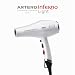 Imagen de Artero Secador Inferno Light