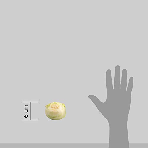 Fresh Knol Khol, 250g