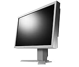  EIZO S2433W Pantalla para PC 61,2 cm (24.1\") Gris - Monitor (61,2 cm (24.1\"), 1920 x 1200 Pixeles, LCD, 6 ms, Gris)