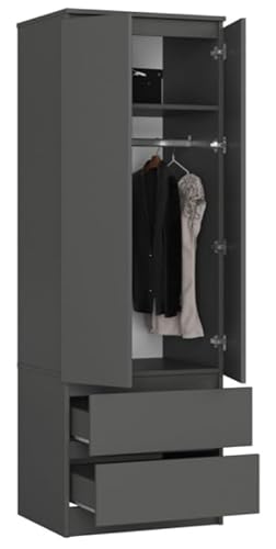 BDW Kleiderschrank mit 2 Türen, 2-türiger Kleiderschrank, 2 Schubladen - Aufbewahrungsschrank - Moderner Schrank für Schlafzimmer, Wohnzimmer, Flur, Kinderzimmer - 180x60x51cm - Graphit Grau