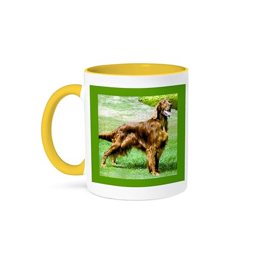3dRose Coffee Mug, Size - 15oz - Irish Setter Dogs Irish Setter - funny coffee cup gift