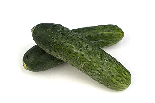 Cetrioli, 500 Gr., Cat. I