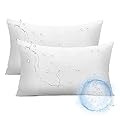 Ashler Outdoor Lumbar Pillows, 12 x 20 Outdoor Pillows, Summer Pillows Set of 2, Water Resistant Pillow Inserts Hypoallergenic Pillows for Patio, Bench, Garden, Indoor Outdoor