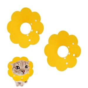 SHOWGDS SARL 2 Stück Sonnenblumen Halskrause Katze