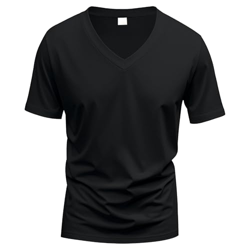 Men Trendy V-Neck Quick-Drying Shirt Breathable Casual Sports Pullover Top Summer Personality Short-Sleeved T-Shirt (Black,Small)