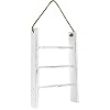 Patelai 3-Tier Mini Wall-Hanging Hand Towel Ladder with Rope Decorative Wooden Bathroom Towel Rack Ladder and Hook for Farmhouse Room Decor (Vintage White)