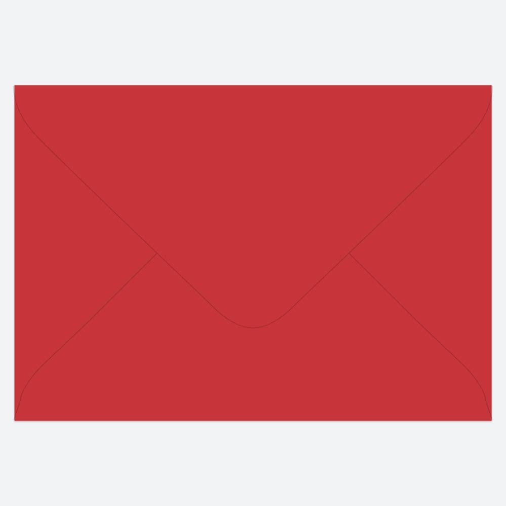 Set Di 20 Biglietti Di Ringraziamento Natalizi – Festive Friends – Con Buste Rosse – Carta 100g – Prodotto In Gran Bretagna