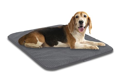 MyBestBuddy Hundematte grau Basic 90x70 cm L mit weichem Stoff extra für Haustiere - 40°C waschbar, allergikerfreundlich (100% Polyester) - Hundekissen BZW. Hundebett für große Hunde, 90 x 70 cm