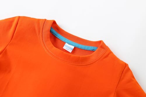 Image of AMIYAN Toddler T Shirts Boys Girls Basic Tee Summer Cotton T-Shirts Crewneck Short Sleeve Shirts for Kids 2-7Y