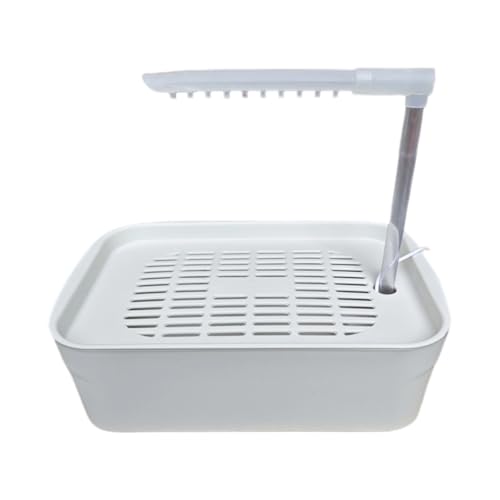 dC̗USBp[IEV[ʊ̂߂̒̉H̉Hт̂悤Ȑ䐅Ă